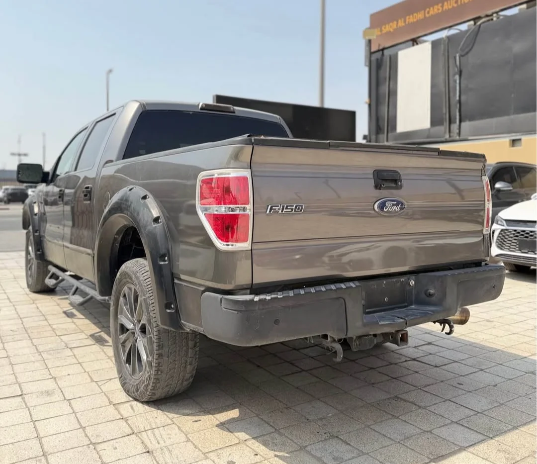 FORD F-150 2010 — miniature 3