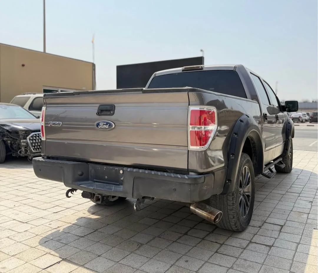 FORD F-150 2010 — miniature 4